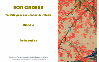 Christmas voucher: offer a shiatsu or a reflexology massage in Paris to your loved ones