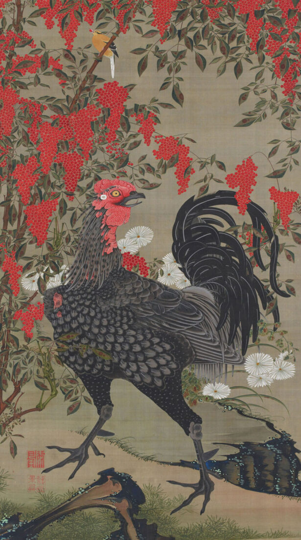 Ito-Jakuchu Le coq, médecine énergétique, shiatsu