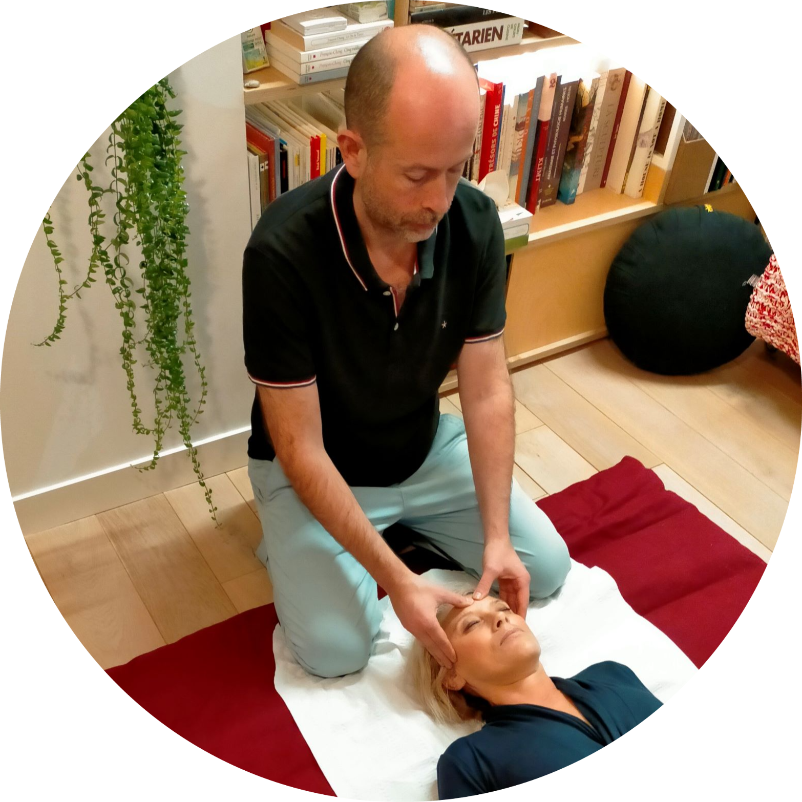 Praticien shiatsu Paris