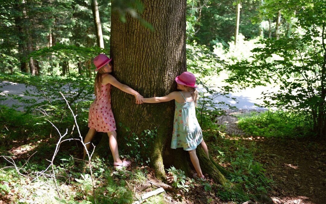 Le câlin à l’arbre ou « Tree hugging », un  nettoyage de printemps émotionnel : comment pratiquer cette méditation très efficace et accessible à tous