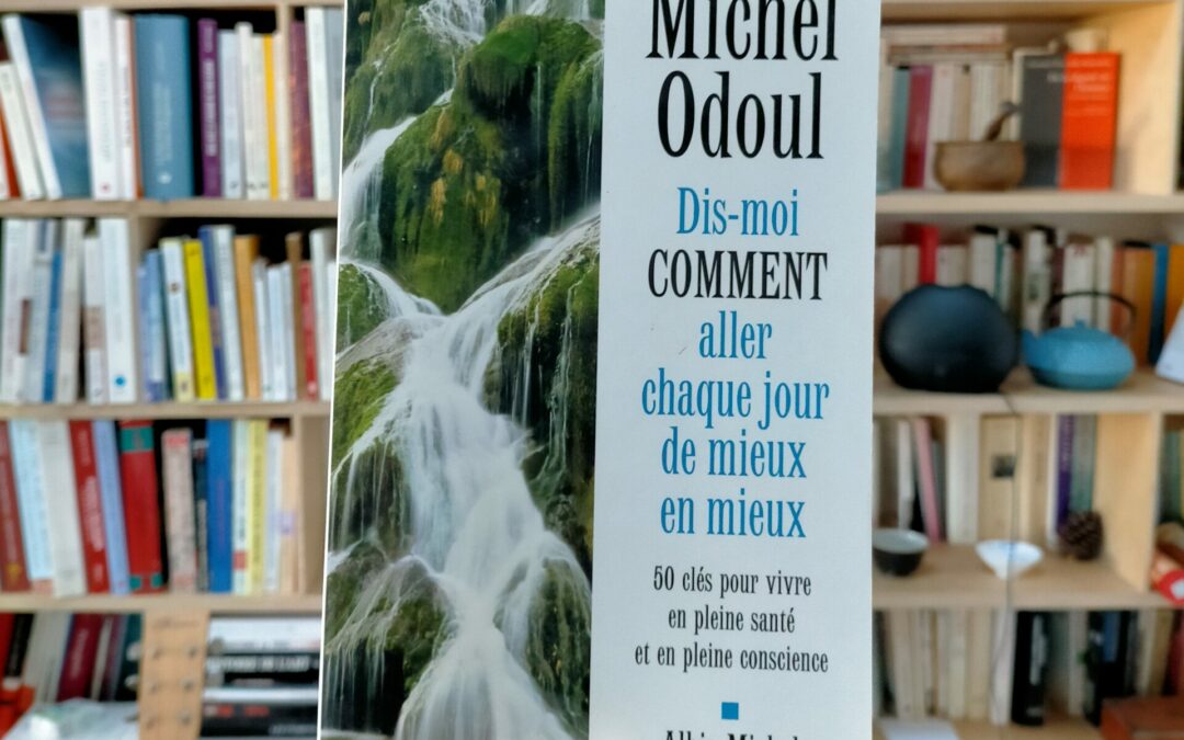Un livre de Michel Odoul à s’offrir : « Dis-moi comment aller chaque jour de mieux en mieux », éd. Albin Michel